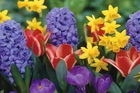 I Catari ...nel Cuore Di Apartamento *