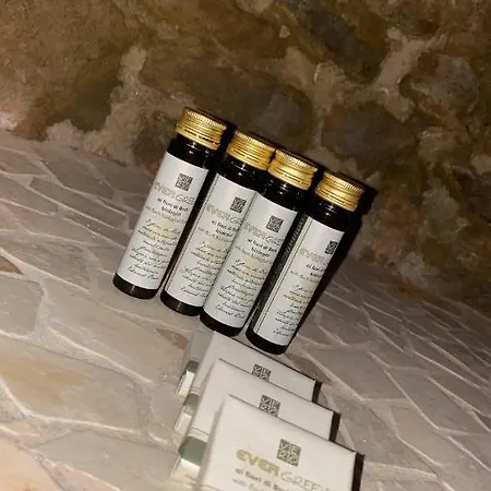 I Catari ...nel Cuore Di