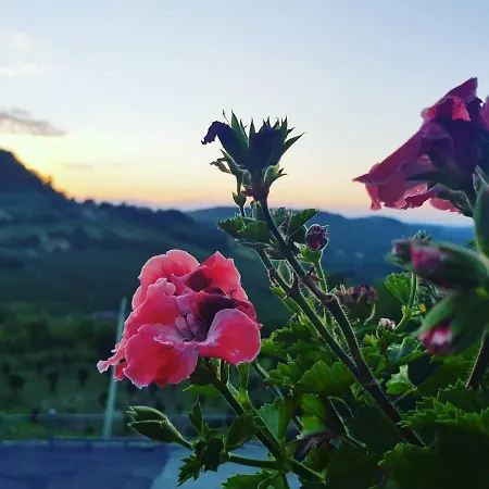 I Catari ...nel Cuore Di Monforte dʼAlba