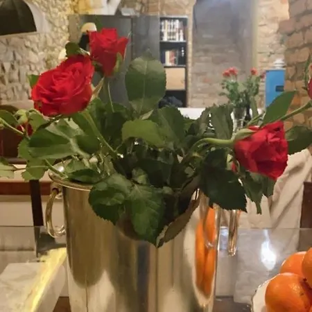 I Catari ...nel Cuore Di 蒙福特达尔巴
