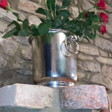 I Catari ...nel Cuore Di 公寓 蒙福特达尔巴